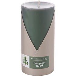 EVERGREEN FOREST by Northern Lights – EVERGREEN FOREST | ClozArt