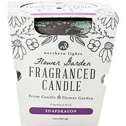FLOWER GARDEN SNAPDRAGON by – FLOWER GARDEN SNAPDRAGON | ClozArt