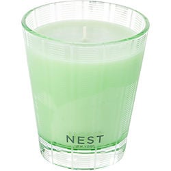 NEST CUCUMBER & WHITE SAGE by Nest – NEST CUCUMBER & WHITE SAGE | ClozArt