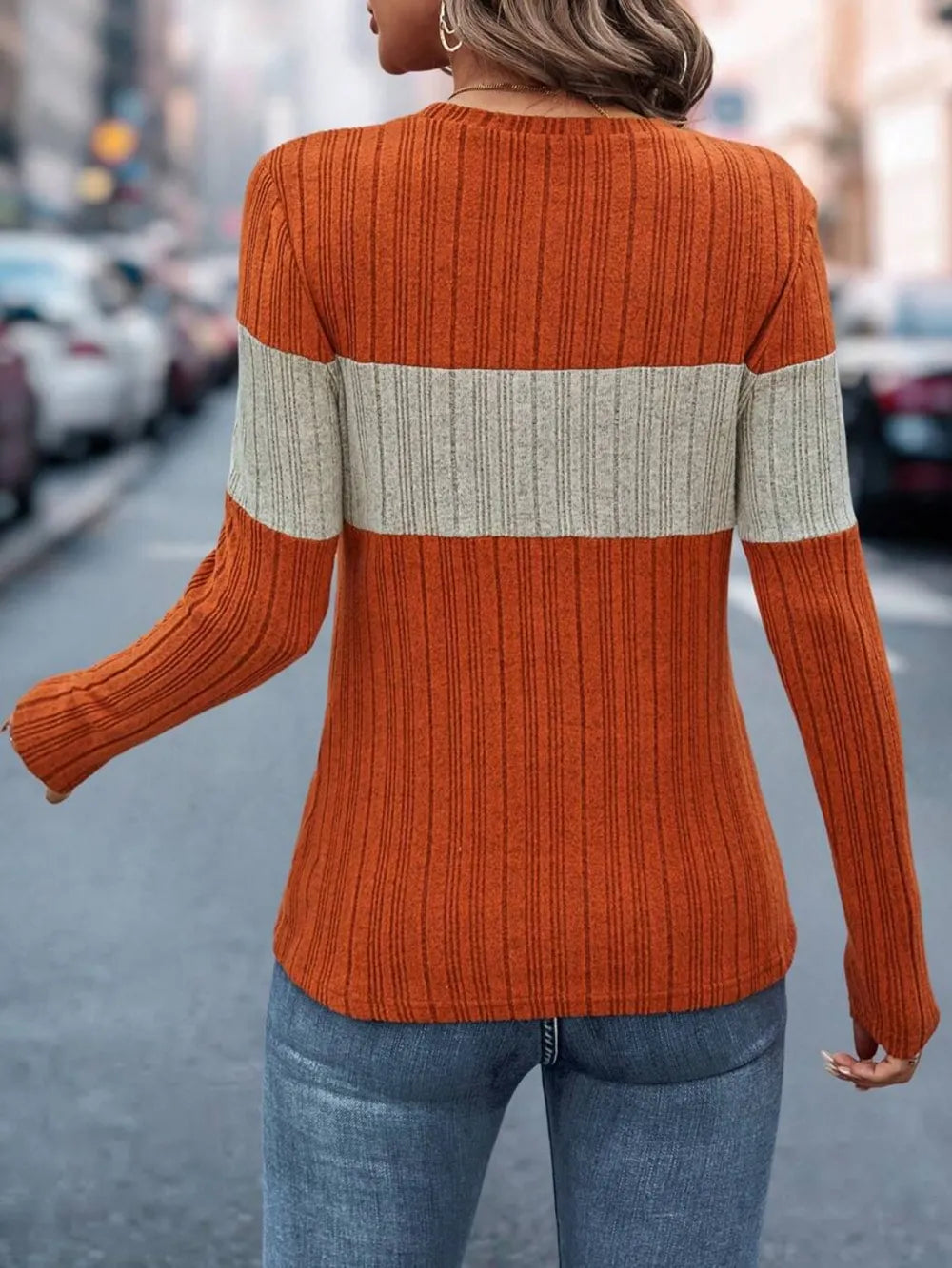 Color Block Round Neck Long Sleeve Top – Trendsi | ClozArt