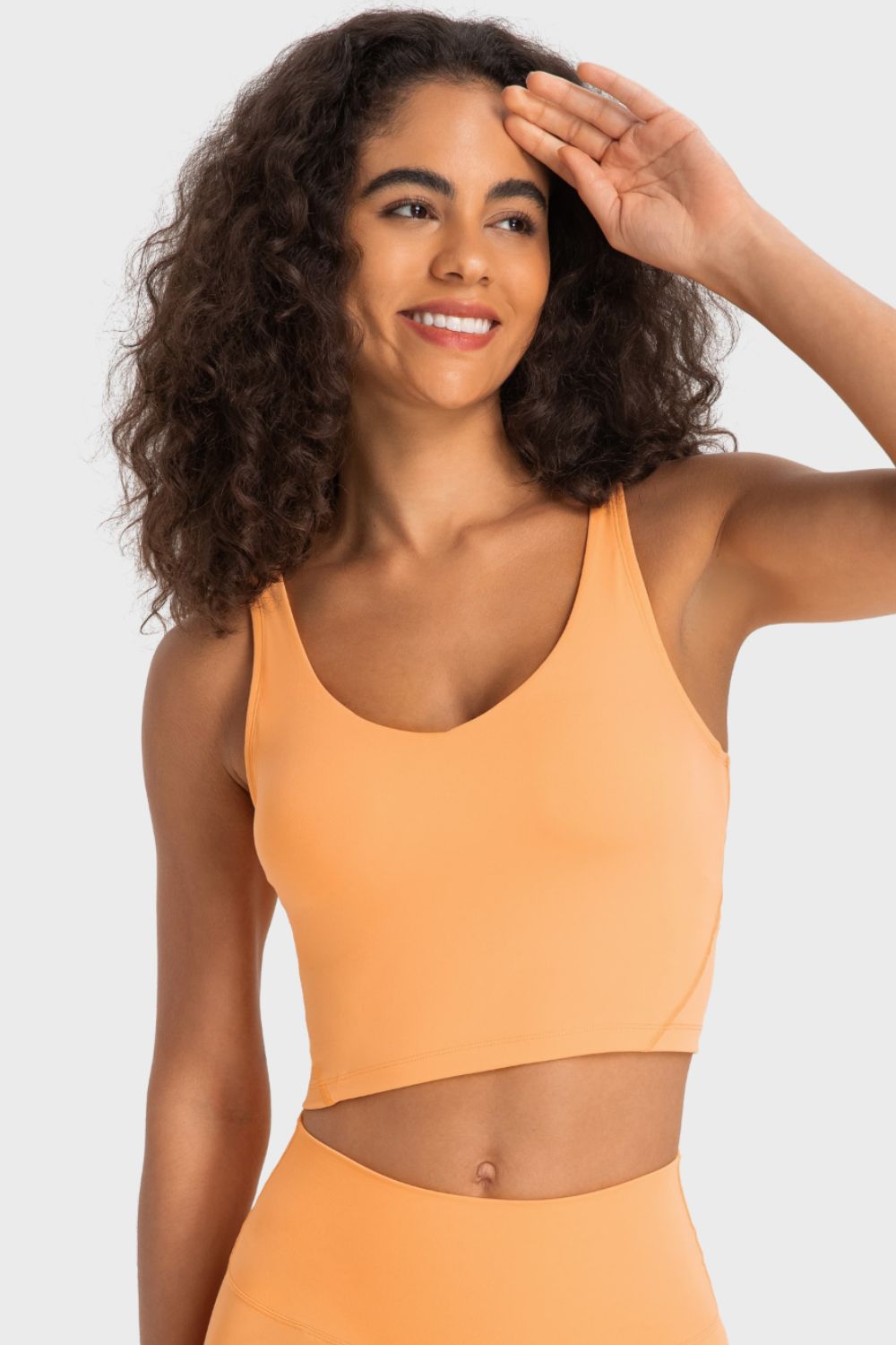 Millennia Deep V-Neck Crop Sports Bra – Trendsi | ClozArt