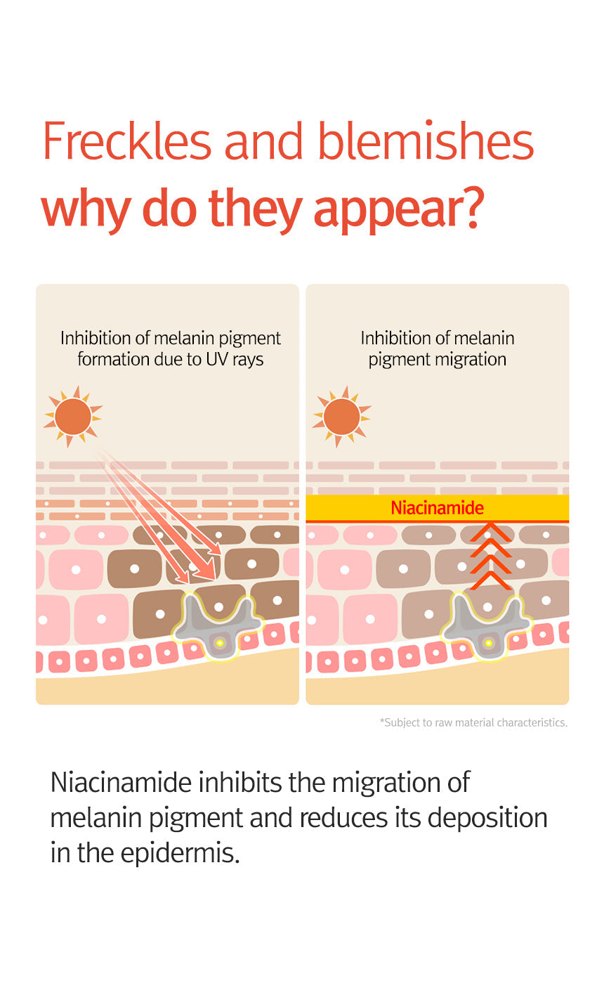 12GRABS 10 Elements Vita Serum 50ml – 12GRABS | ClozArt