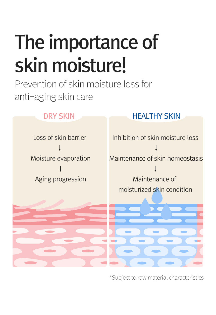 12GRABS Octuple Hyaluron Moist Toner 150ml – 12GRABS | ClozArt