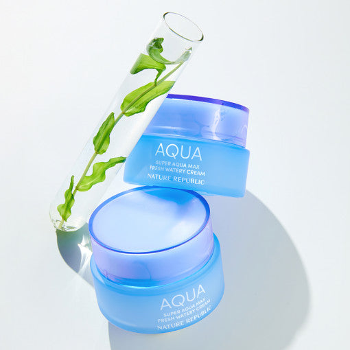 NATURE REPUBLIC Super Aqua Max Fresh Watery Cream 80ml – NATURE REPUBLIC | ClozArt