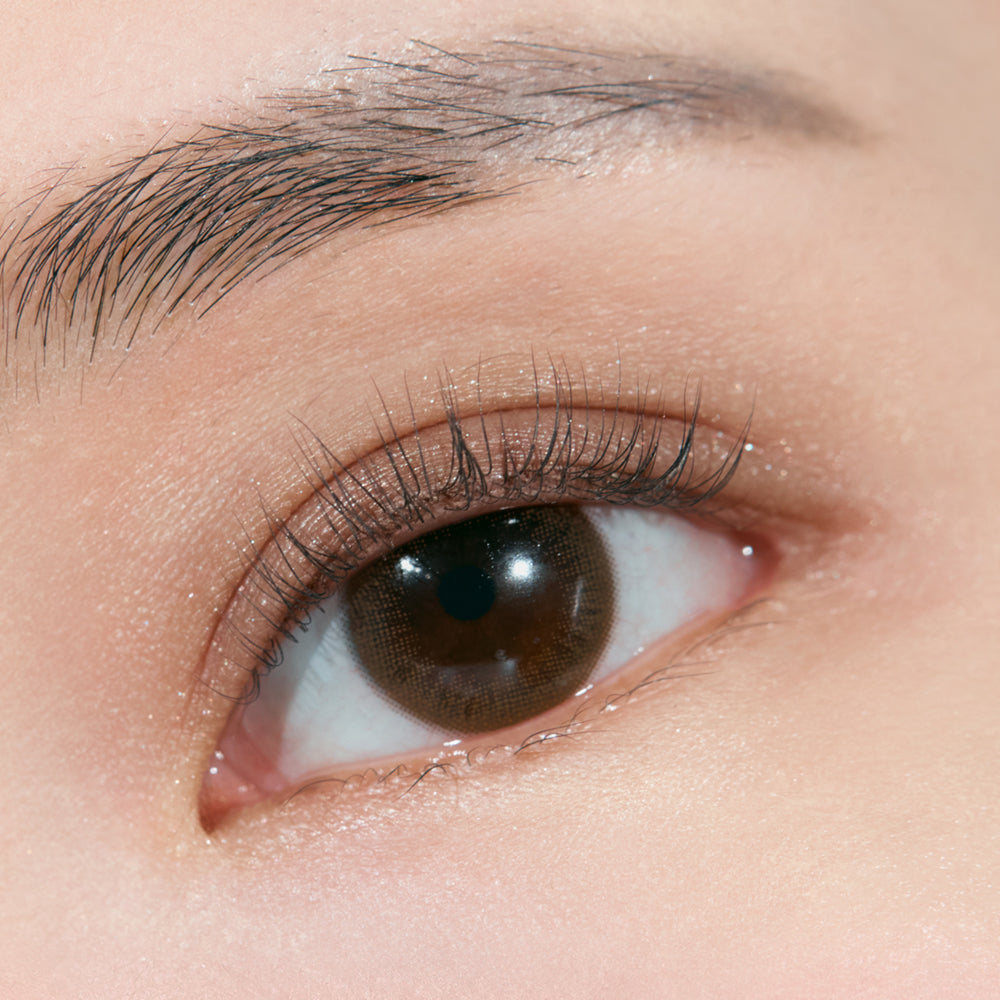 CLIO Shade & Shadow Palette – CLIO | ClozArt