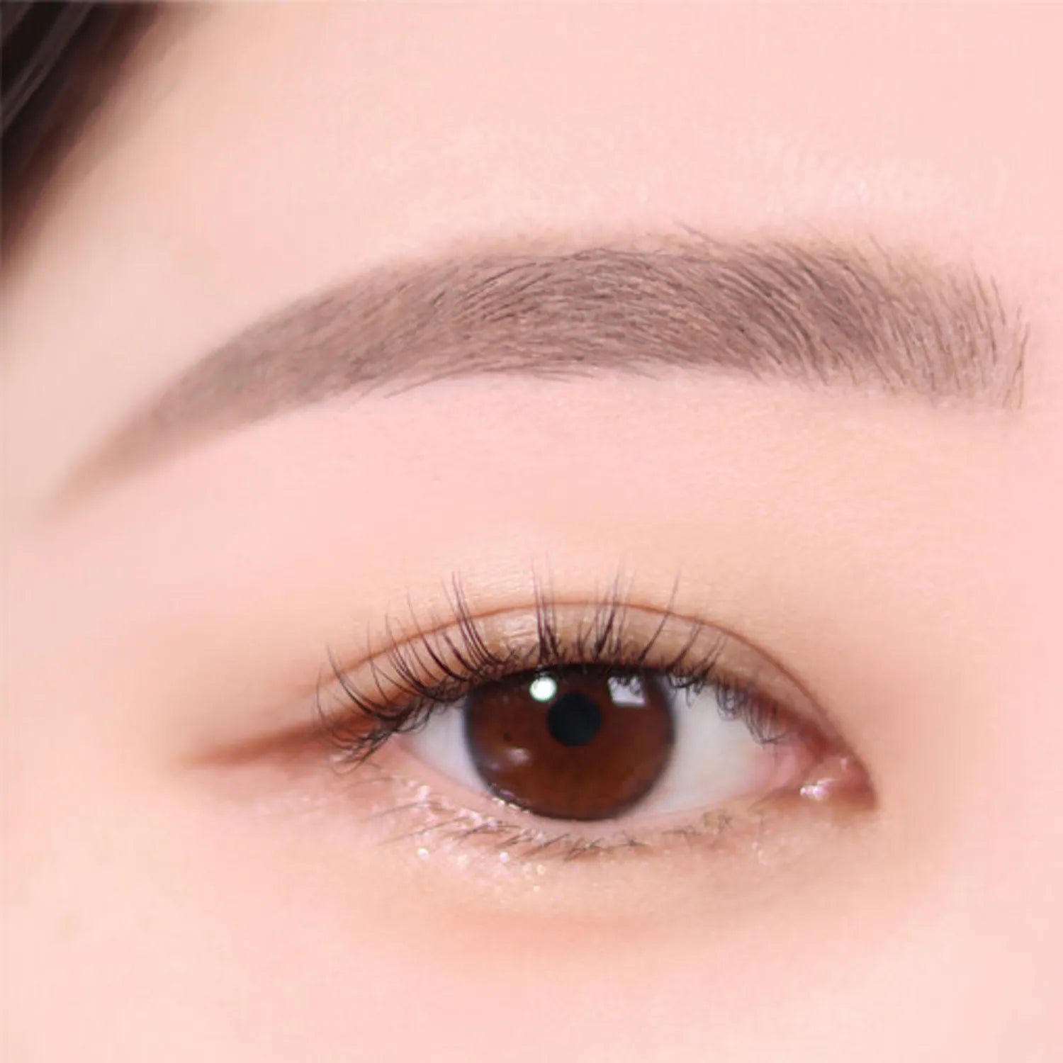 espoir The Brow Color Fixing Cara 3g – espoir | ClozArt
