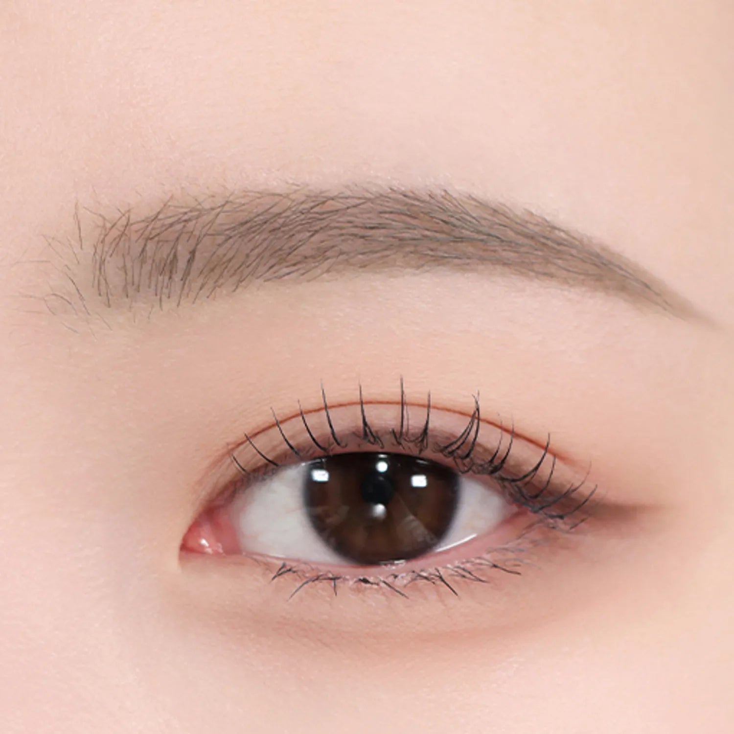 espoir The Brow Color Fixing Cara 3g – espoir | ClozArt