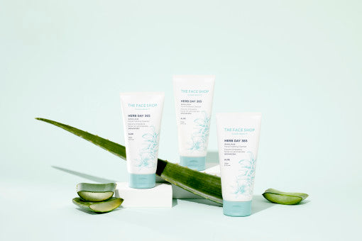 THE FACE SHOP Herb Day 365 Amino Acid Facial Foaming Cleanser 170ml #Aloe – THE FACE SHOP | ClozArt