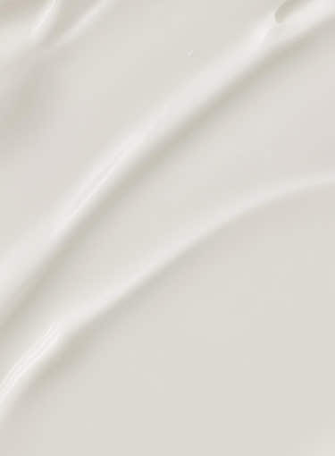 [Beauty of Joseon] Pine Grove Body Cream 400ml – Beauty of Joseon | ClozArt