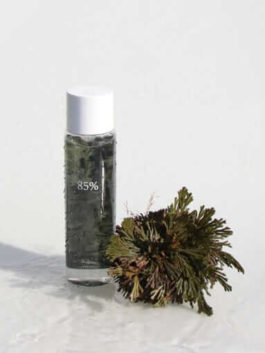 Dr.Althea Anastatica Skin Conditioning Toner 250ml – Dr.Althea | ClozArt