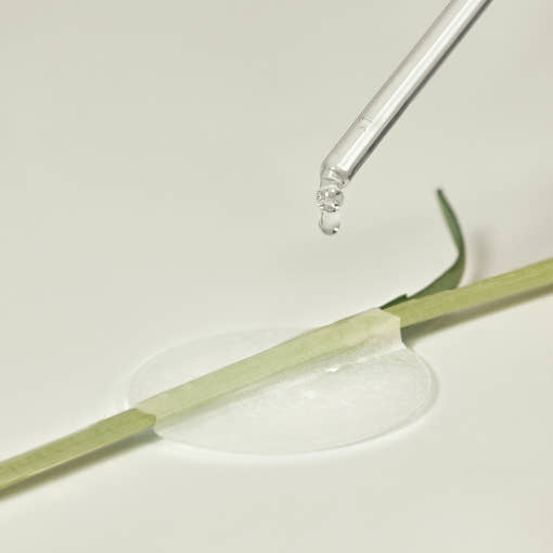[THE LAB By BLANC DOUX] Green Flavonoid 2.5 Pad 120g (90p) – THE LAB by BLANC DOUX | ClozArt
